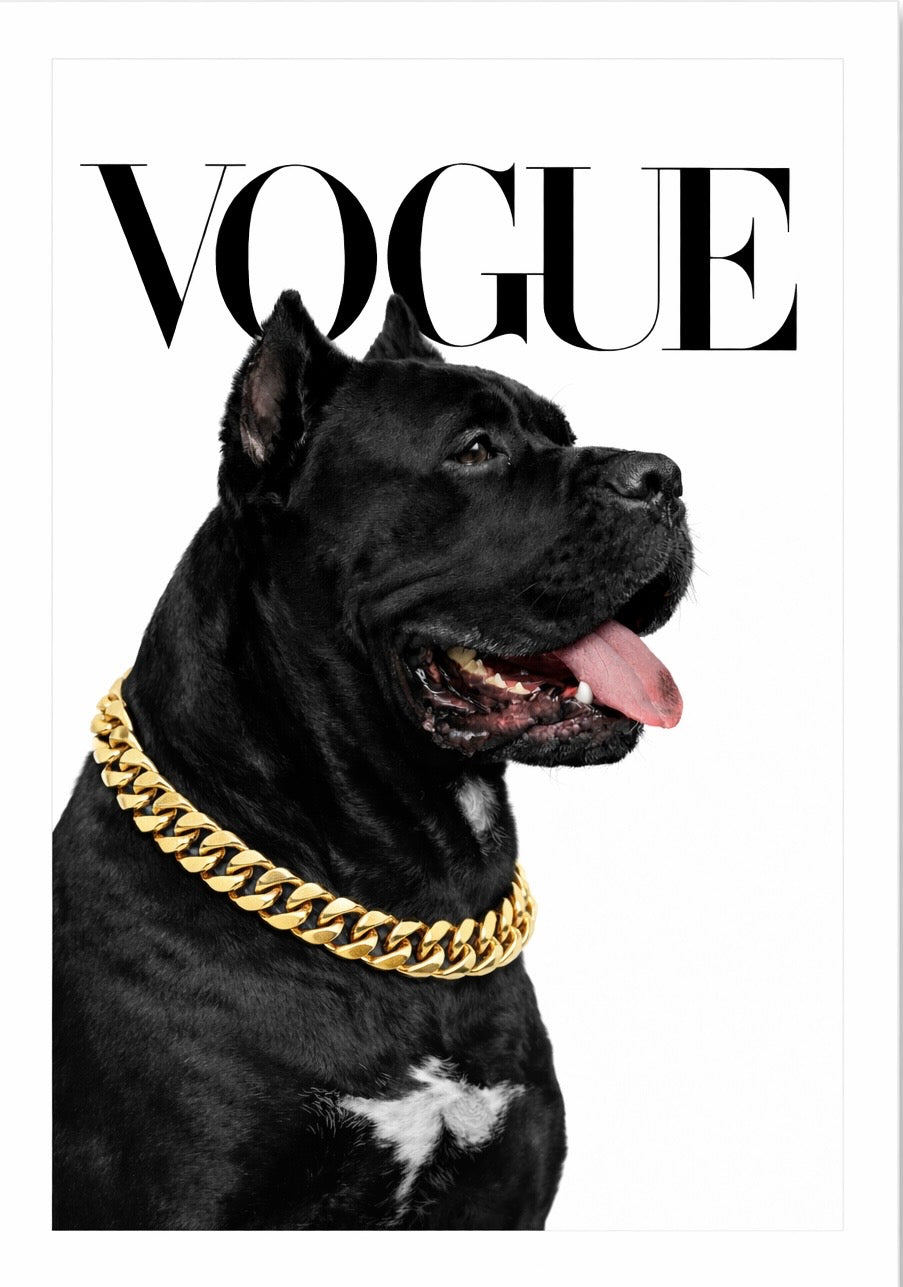 Vouge Designer by Duke